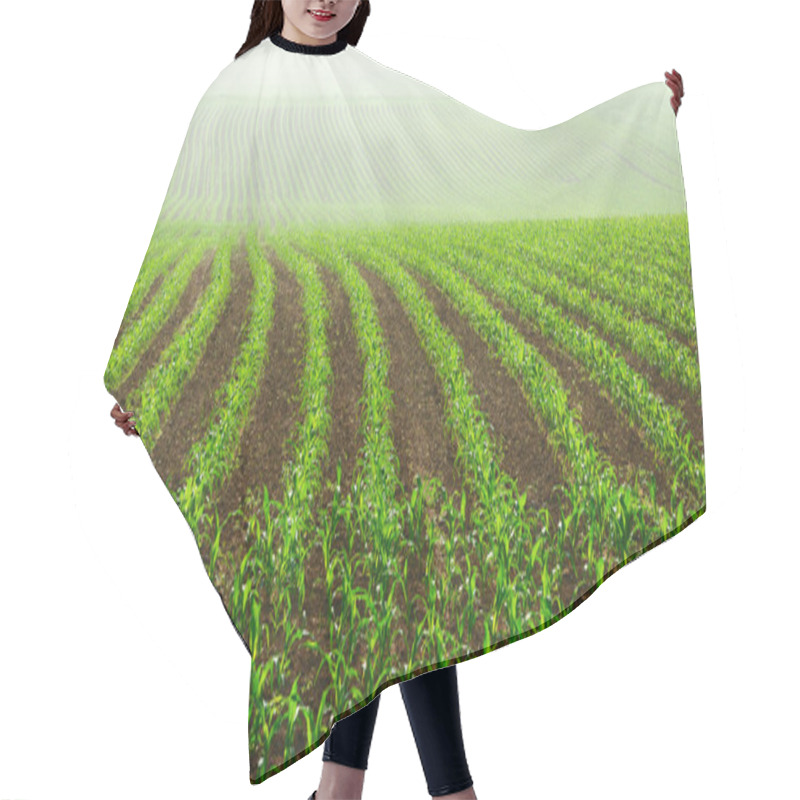 Personality  Rows Of Young Corn Plants Hair Cutting Cape