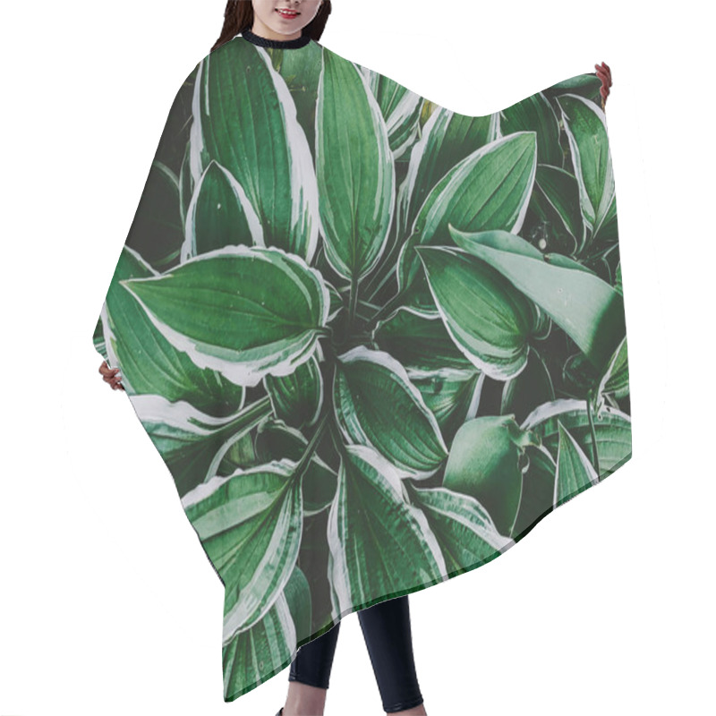 Personality  Green Leaves With White Stroke Hair Cutting Cape