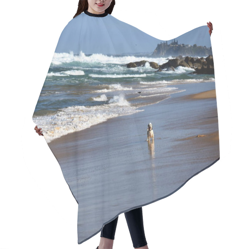 Personality  Small Dog Playing On The Beach Hair Cutting Cape