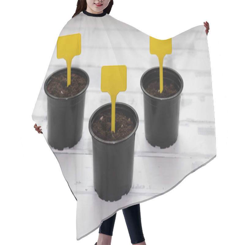 Personality  Three Planters With A Sign For Text, Gardening, Copy Space Hair Cutting Cape