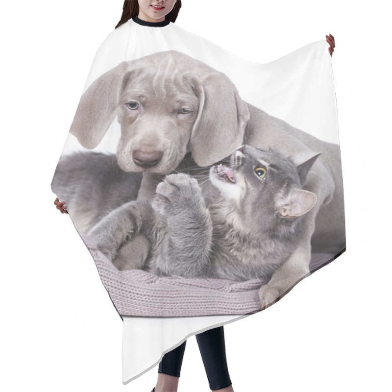 Personality  Dog And Cat Hair Cutting Cape