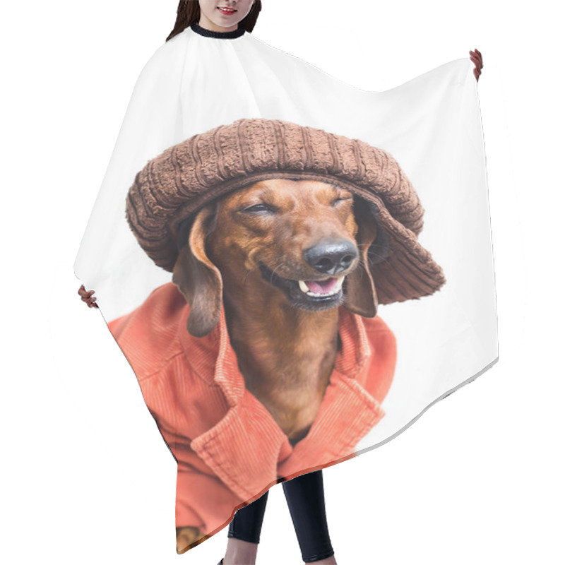 Personality  Dog Wearing A Cap And Jacket Hair Cutting Cape