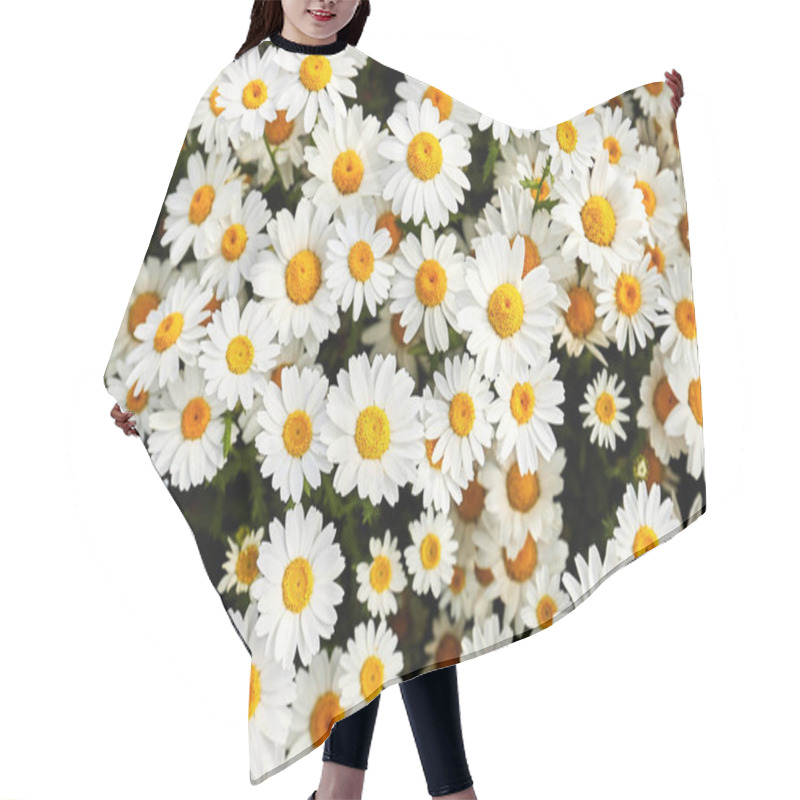 Personality  Daisies Close-up, Top View. White Flowers Hair Cutting Cape