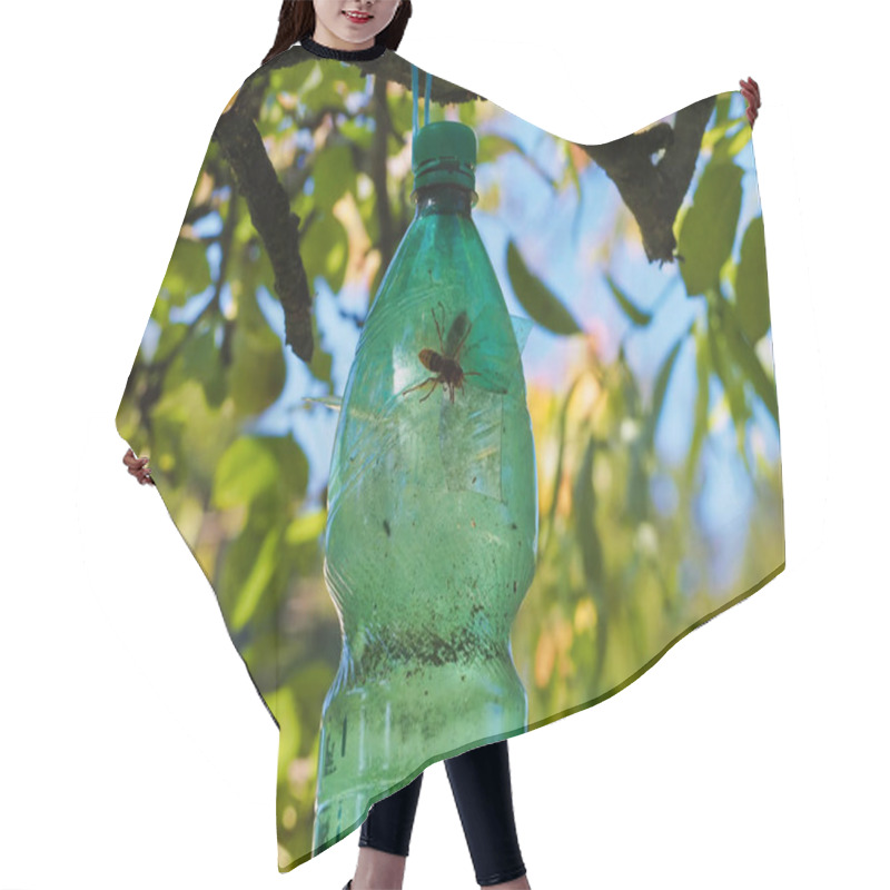 Personality  Homemade Insect Trap Created From A Plastic Bottle, Hanging In A Tree To Manage Garden Pests, With Green Foliage And Sunlight Filtering Through The Background, Symbolizing Practicality And Eco-friendly Pest Control Methods. Hair Cutting Cape