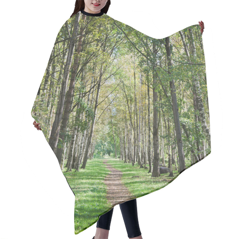 Personality  The Deserted Avenue Shined By Solar Beams In Autumn Park Hair Cutting Cape