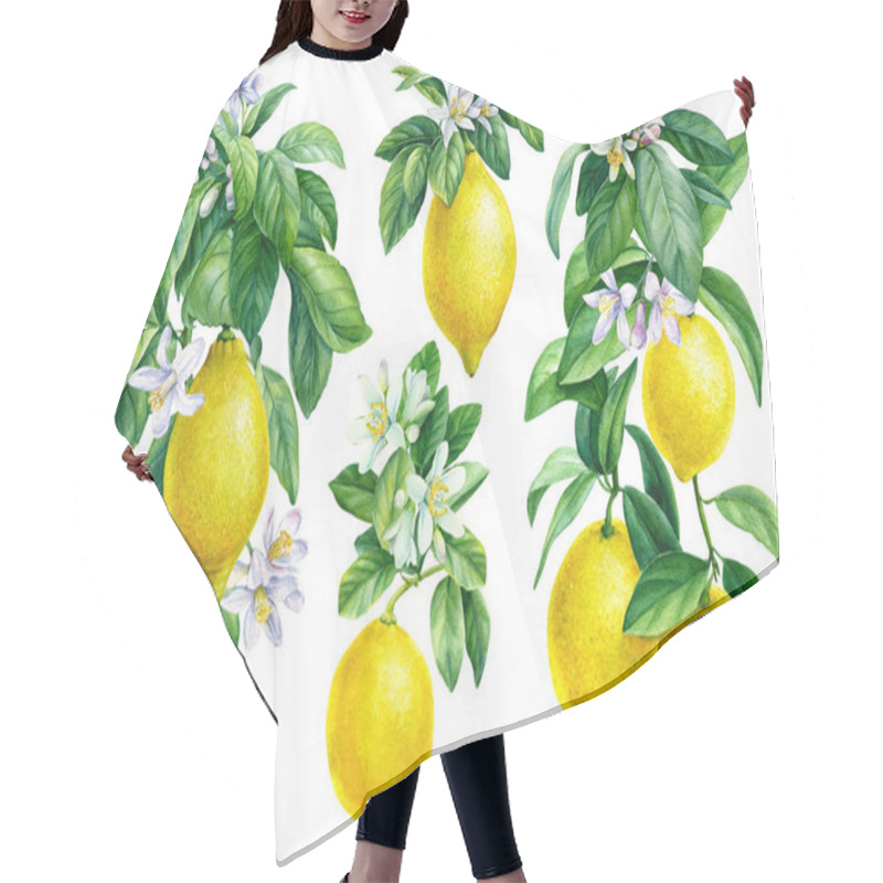 Personality  Set Of Lemons, Flowering Branches Of Citrus On An Isolated White Background, Watercolor Illustration, Ripe Fruit Lemon Hair Cutting Cape