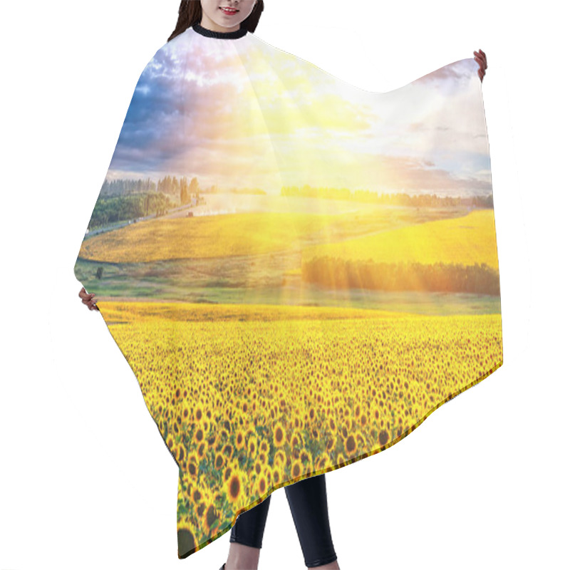 Personality  Picturesque Sunset Over The Field Of Sunflowers Hair Cutting Cape