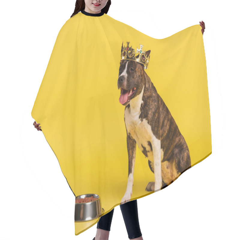 Personality  Purebred Staffordshire Bull Terrier In Crown Sitting Near Bowl With Pet Food On Yellow  Hair Cutting Cape