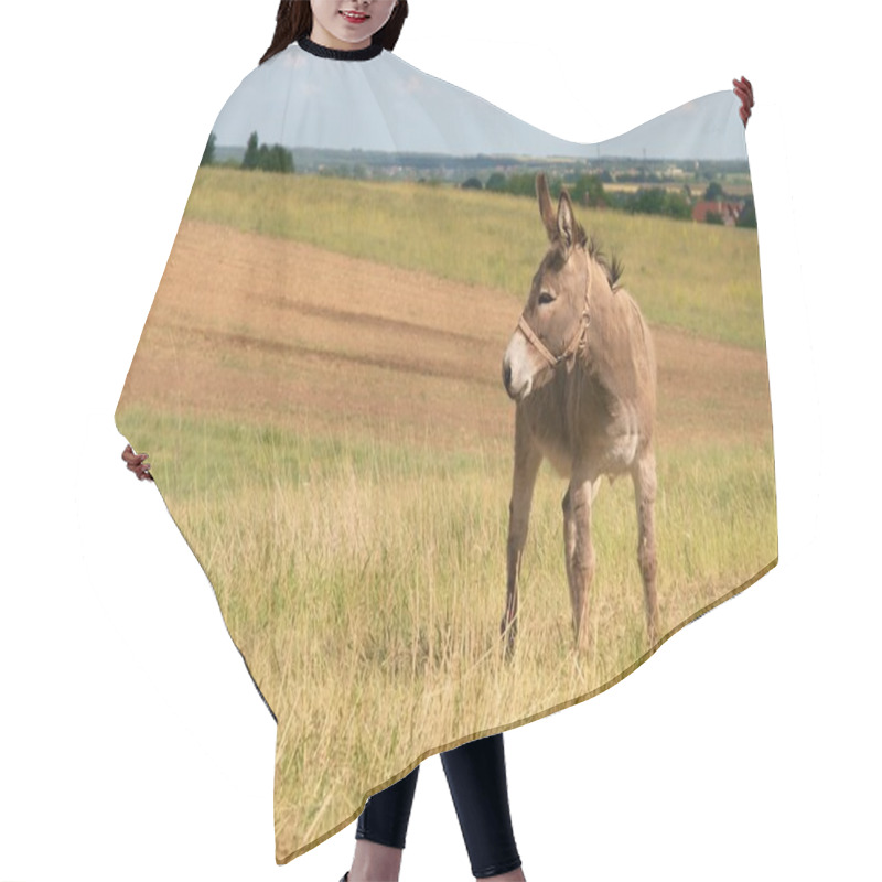 Personality  Donkey Hair Cutting Cape