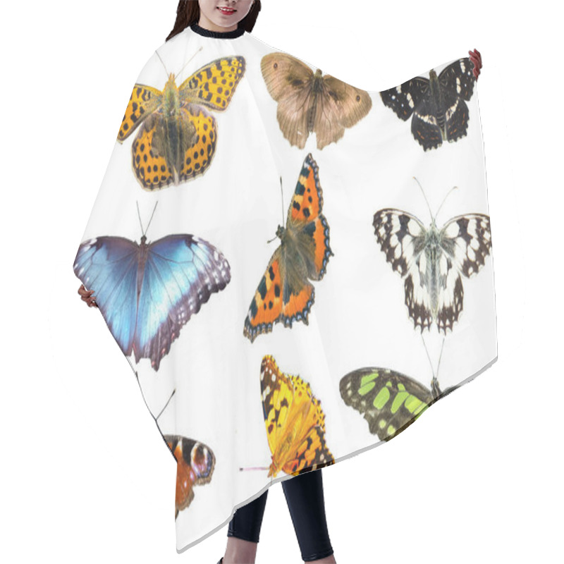 Personality  Many Butterfly Species Isolated Hair Cutting Cape