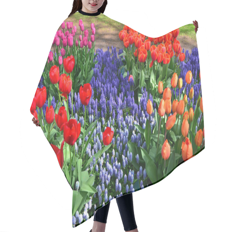 Personality  Blooming Tulips In Keukenhof Park In Netherlands Hair Cutting Cape