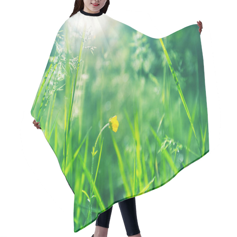 Personality  Sunny Day On The Flowers Meadow. Beautiful Natural Background. Hair Cutting Cape