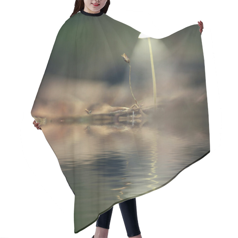 Personality  Mystical Picture Mushrooms Hair Cutting Cape