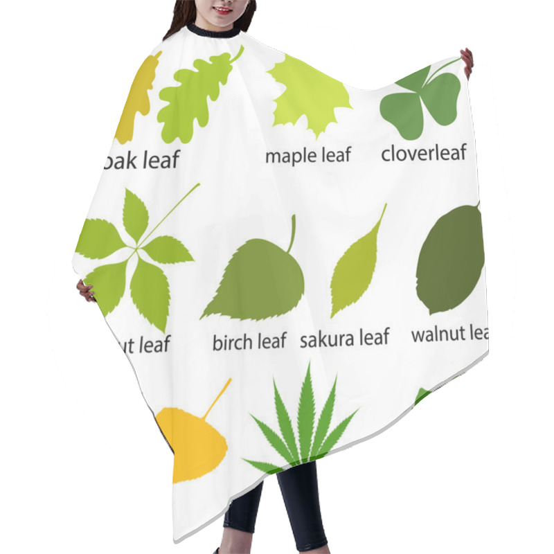 Personality  Vector Set Of Leaves Of Trees. Hair Cutting Cape