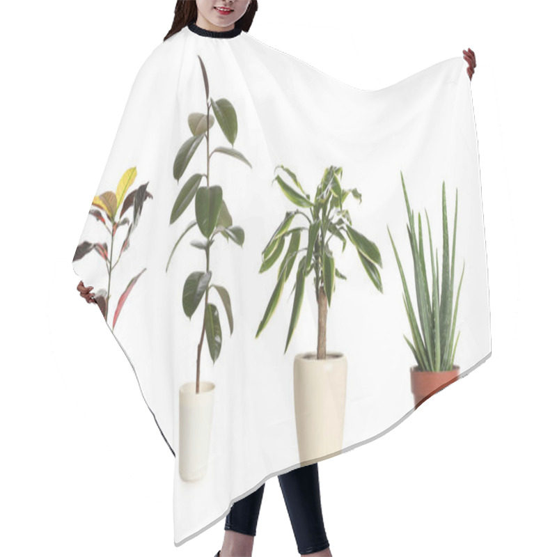 Personality  Set Of Different Houseplants In Flower Pots On White Background. Banner Design Hair Cutting Cape