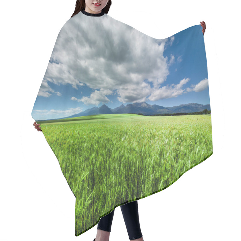 Personality  Fresh Green Wheat Field Under Scenic Dramatic Sky Hair Cutting Cape