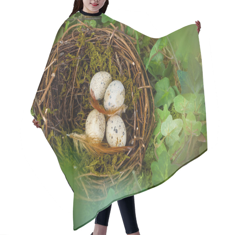 Personality  Hidden Nest With Eggs Hair Cutting Cape