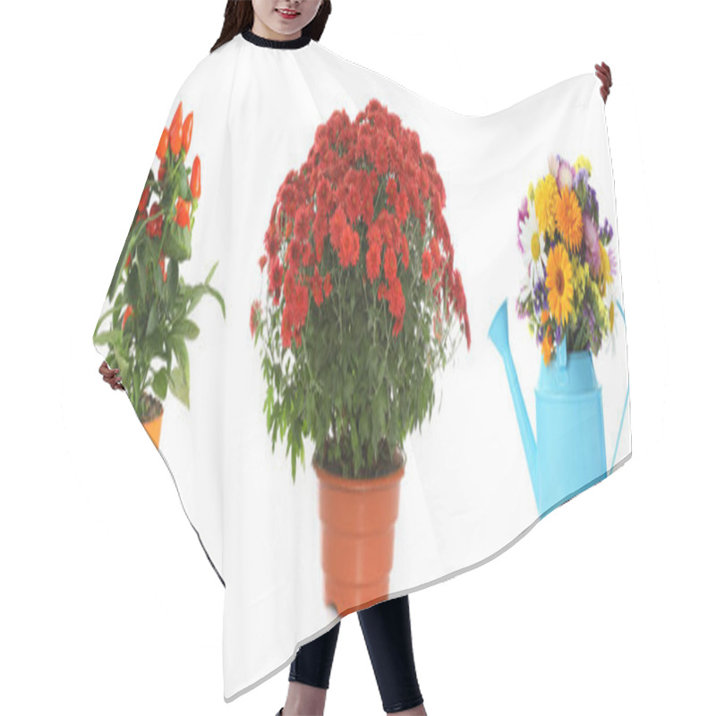 Personality  Set Of Different Blooming Plants In Flower Pots On White Background, Banner Design Hair Cutting Cape