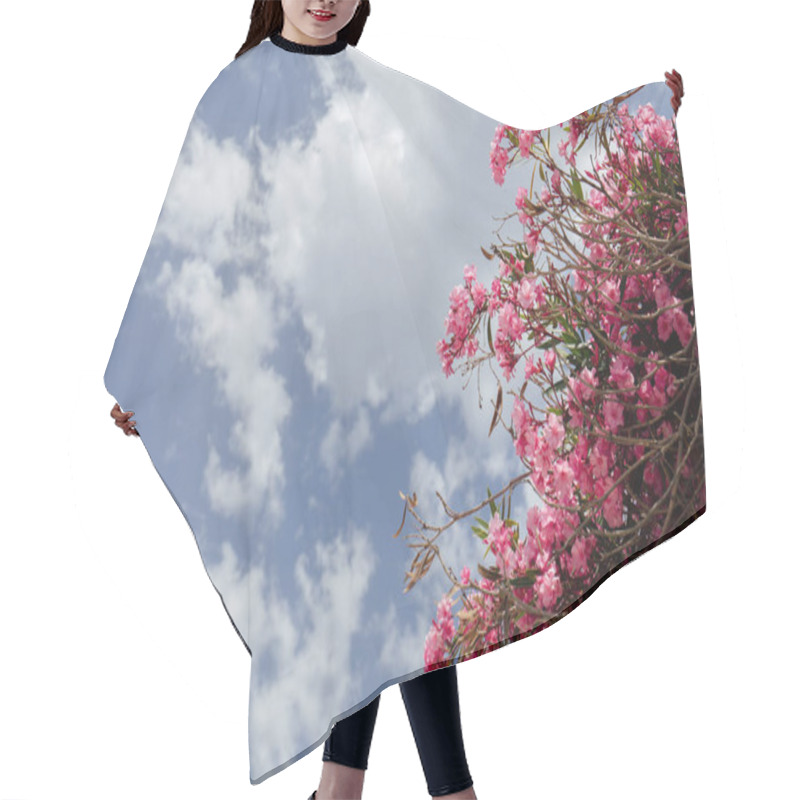 Personality  Bottom View Of Pink Blooming Plant With Cloudy Sky At Background  Hair Cutting Cape