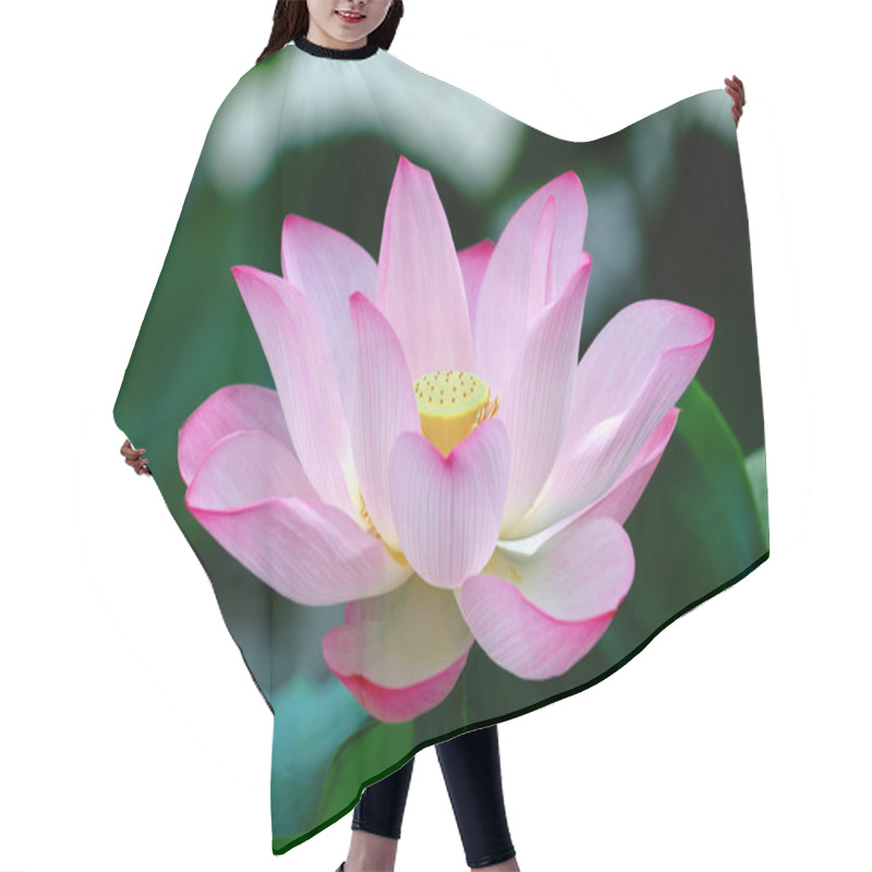 Personality  Closeup Of Blooming Lotus Flower Hair Cutting Cape