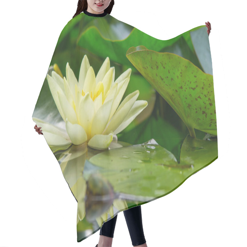 Personality  Beautiful Water Plant Hair Cutting Cape