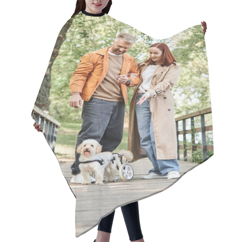 Personality  A Man And Woman In Casual Attire Walk Their Dogs Across A Bridge. Hair Cutting Cape