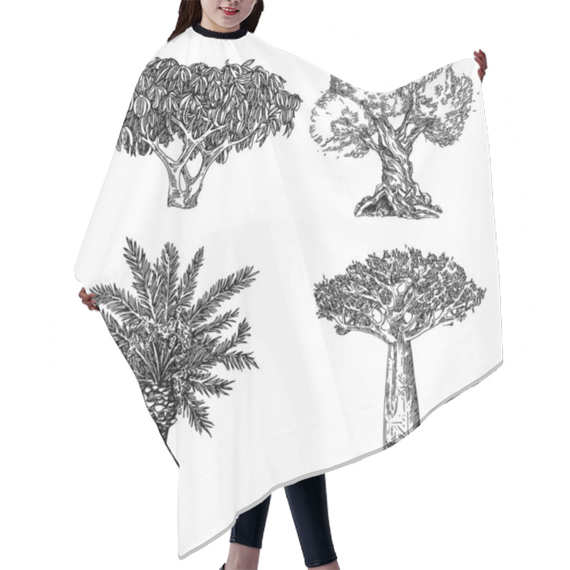 Personality  Set Of Tropical Trees. Palm, Baobab, Scheffler Tree And Olive.  Hair Cutting Cape