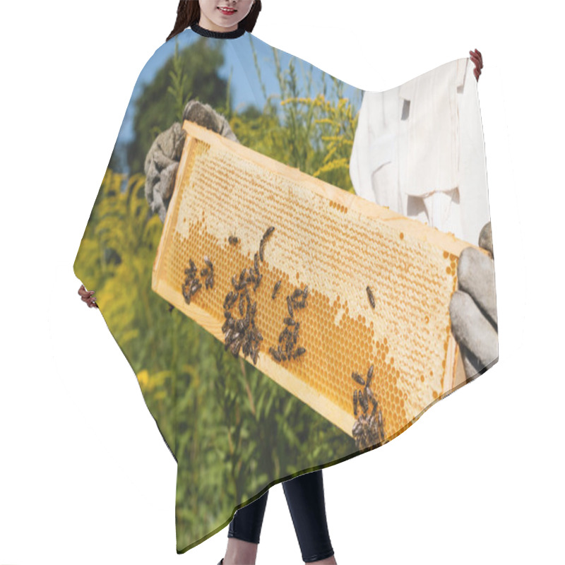 Personality  Cropped View Of Apiarist Holding Honeycomb Frame With Bees On Blossoming Field Hair Cutting Cape