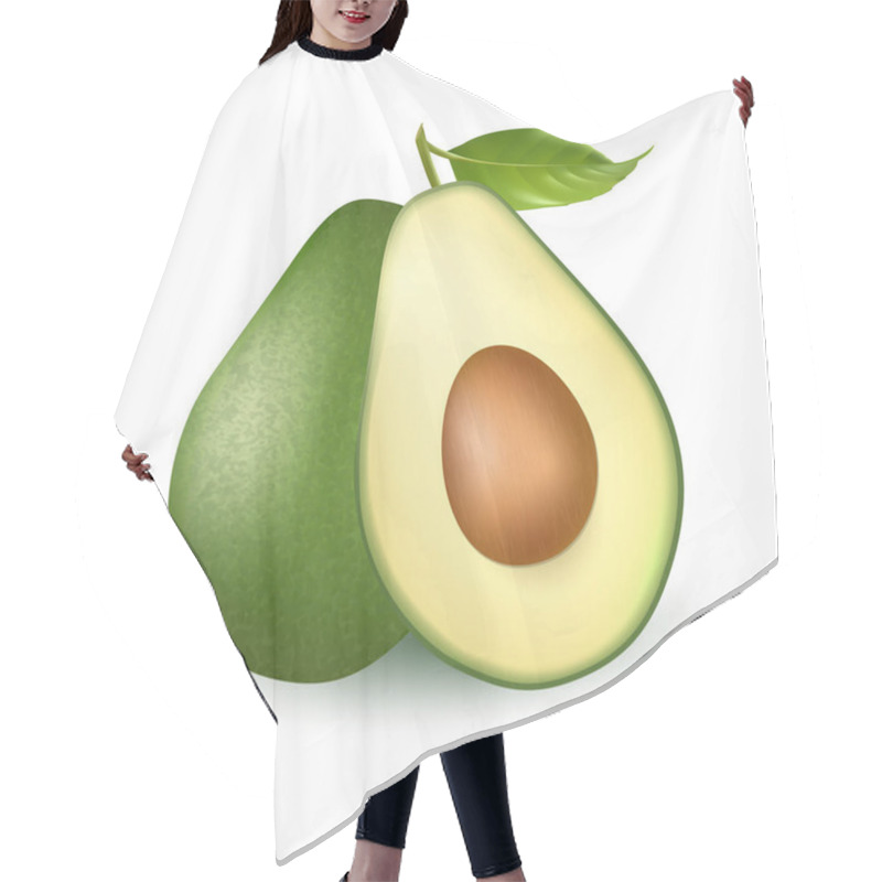 Personality  Vector Realistic Fresh Fruit Avocado Isolated On White Background. Whole And Cut In Half Avocado With Pit Hair Cutting Cape