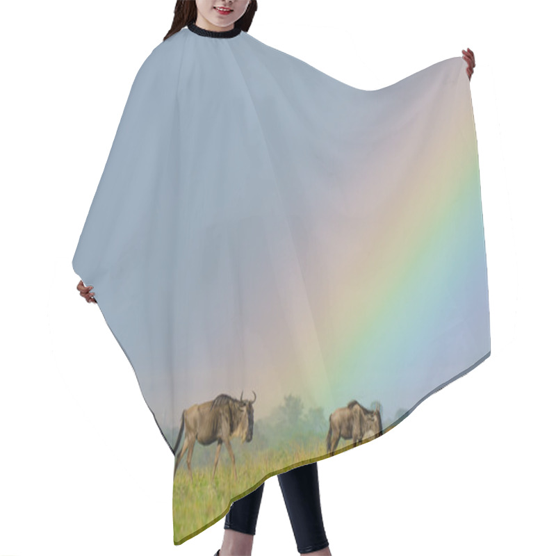 Personality  Wildebeest Under Rainbow Hair Cutting Cape