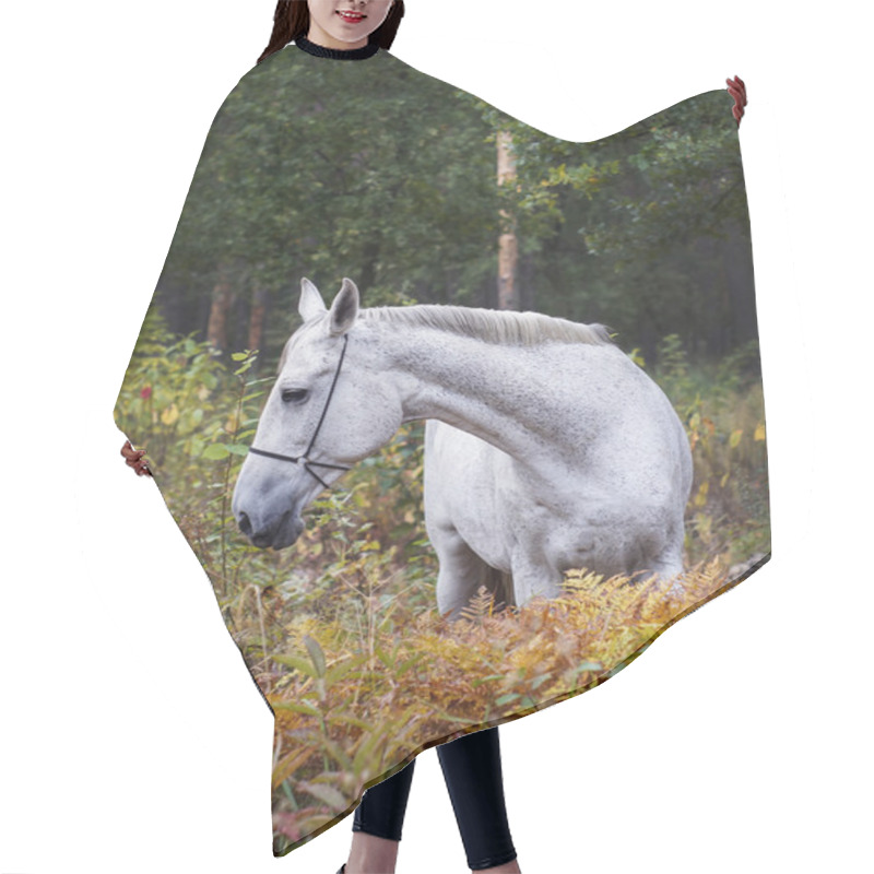 Personality  Gray Horse Standing In The Forest On The Green Grass Near The Trees Hair Cutting Cape