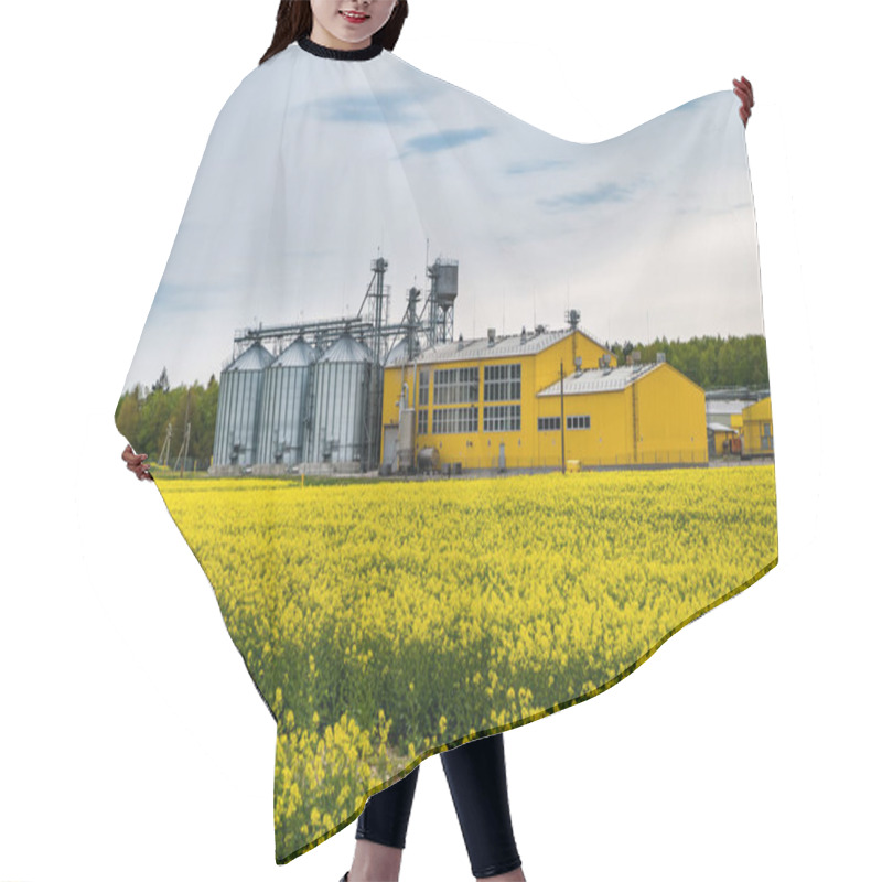 Personality  Field Of Flower Of Rapeseed, Canola Colza In Brassica Napus On A Hair Cutting Cape