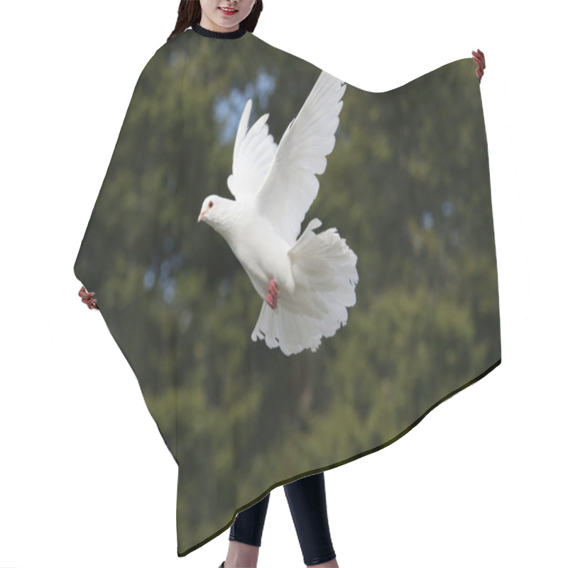 Personality  Beautiful White Dove Flying, Dark Green Tree Background Hair Cutting Cape