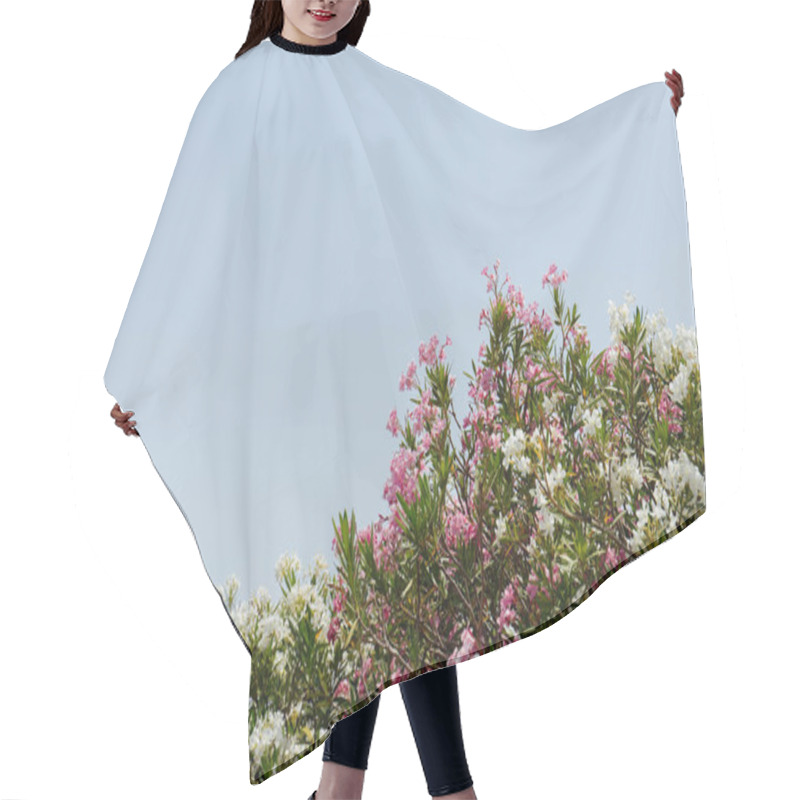 Personality  Selective Focus Of Plants With White And Pink Flowers And Clear Sky At Background  Hair Cutting Cape