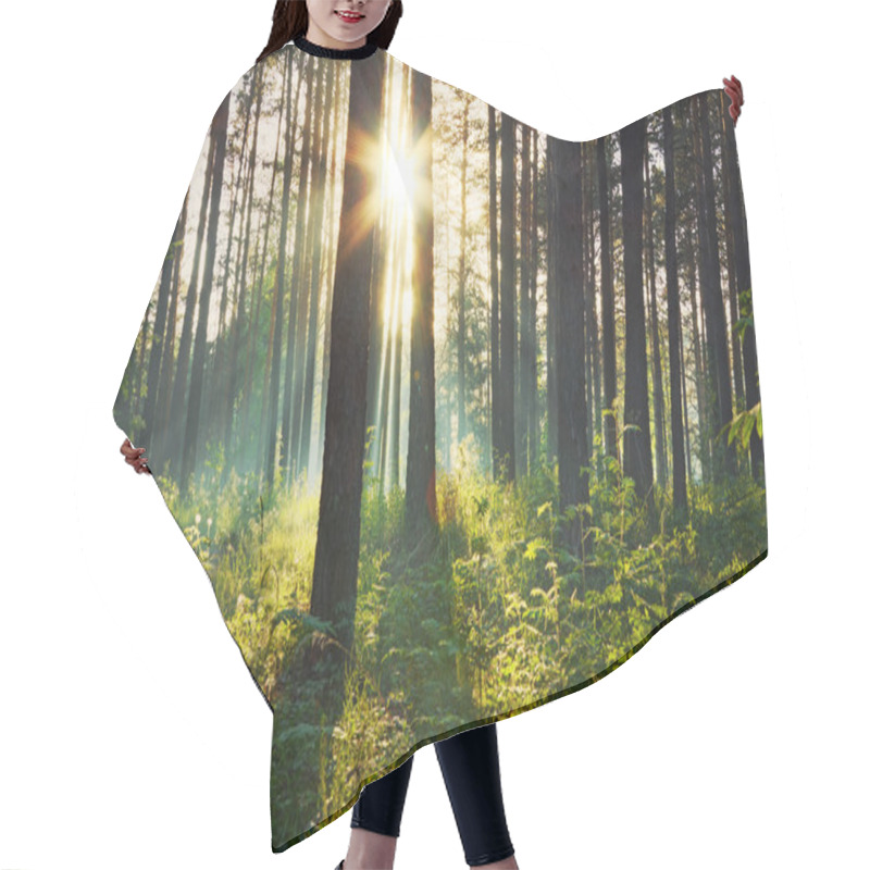 Personality  Sunset Hair Cutting Cape