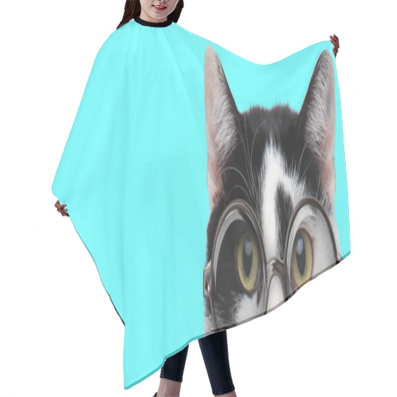 Personality  Nerdy Funny Metis Cat Wearing Eyeglasses With Only Half Of Face Exposed On Blue Background Hair Cutting Cape