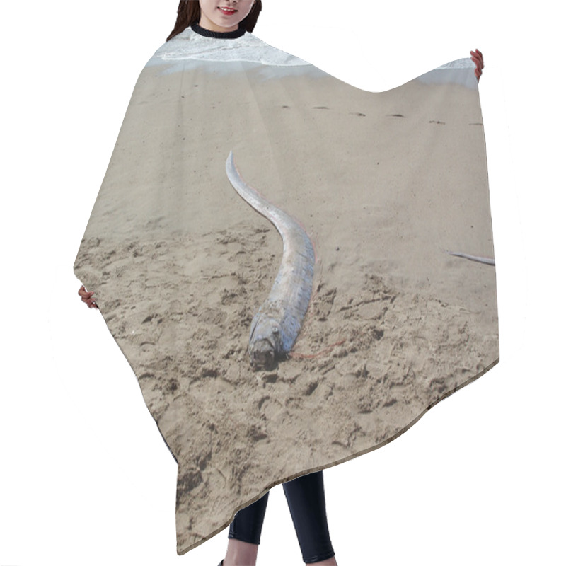 Personality  Dead Oarfish 'Sea Serpent' Washes Ashore On A Beach In Mexico Hair Cutting Cape