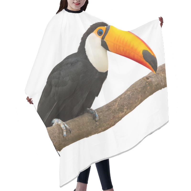 Personality  Toucan Hair Cutting Cape