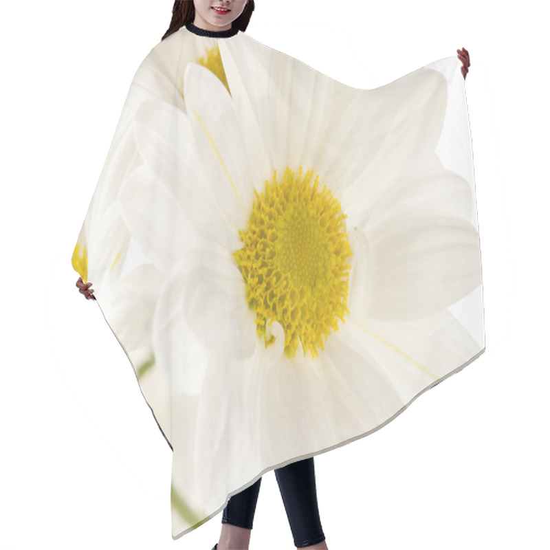 Personality  White Chrysanthemum Closeup Hair Cutting Cape