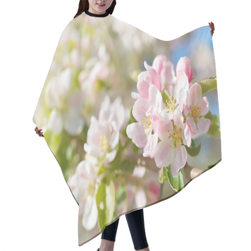 Personality  Spring Blossoms Hair Cutting Cape