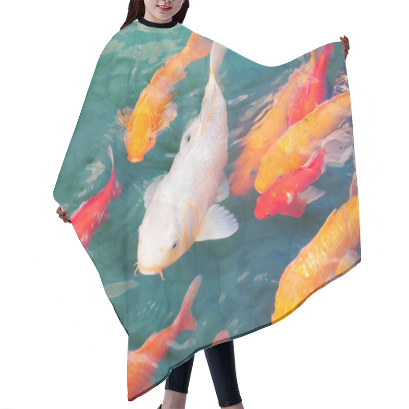 Personality  Beautiful Koi Fish Hair Cutting Cape