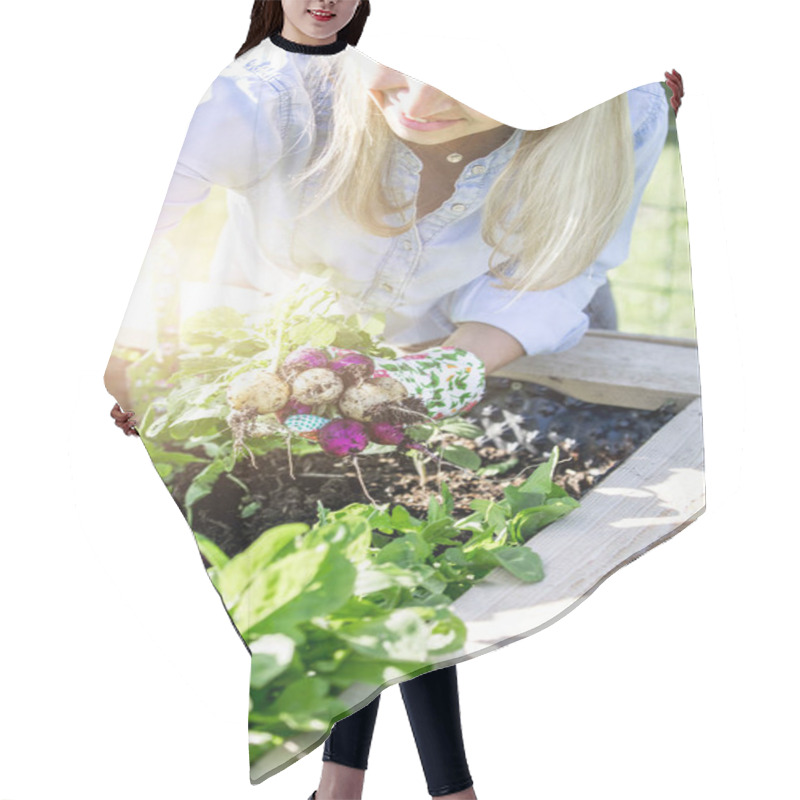 Personality  Woman In Gloves Harvesting Radishes In Vegetable Garden Hair Cutting Cape