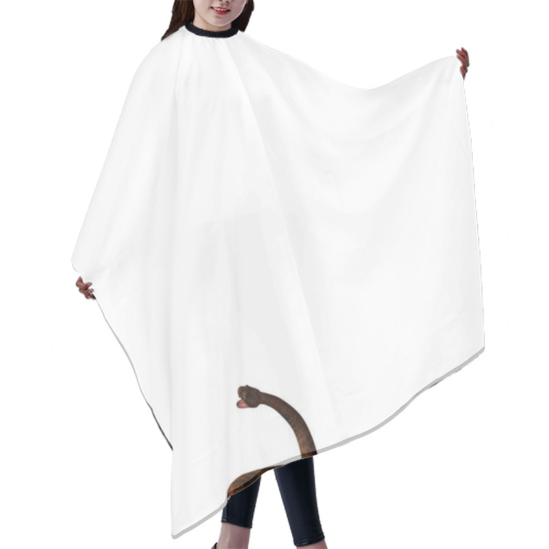 Personality  Snake Illustration Hair Cutting Cape