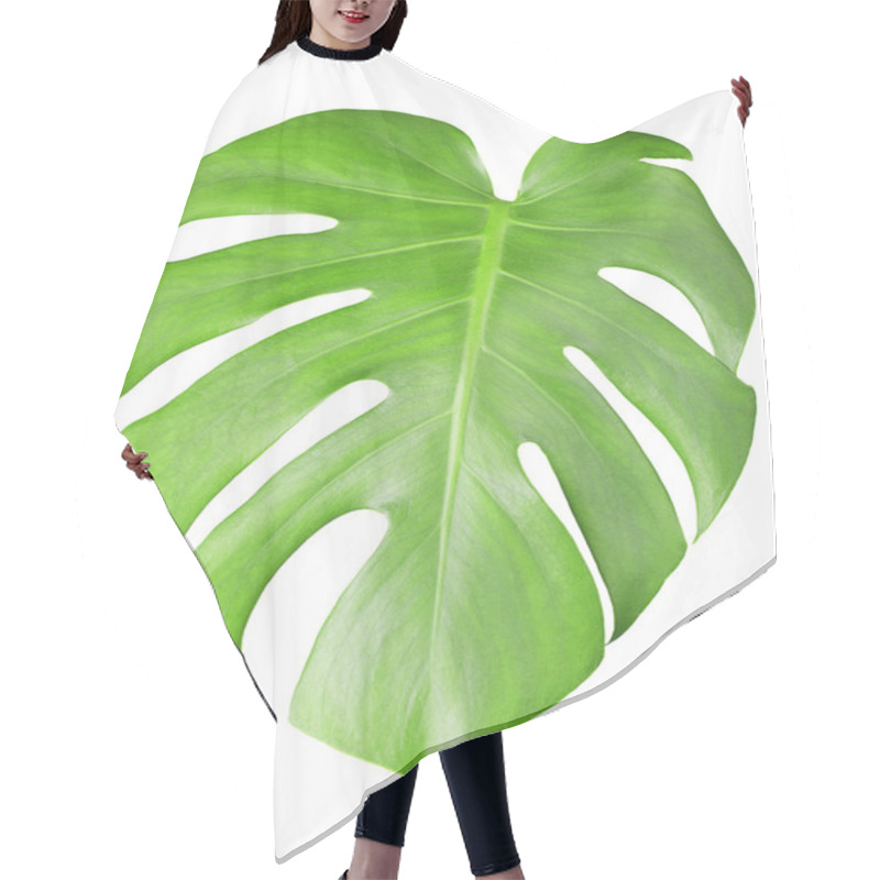 Personality  Big Green Leaf Of Monstera Plant With Water Drops Isolated On White Hair Cutting Cape