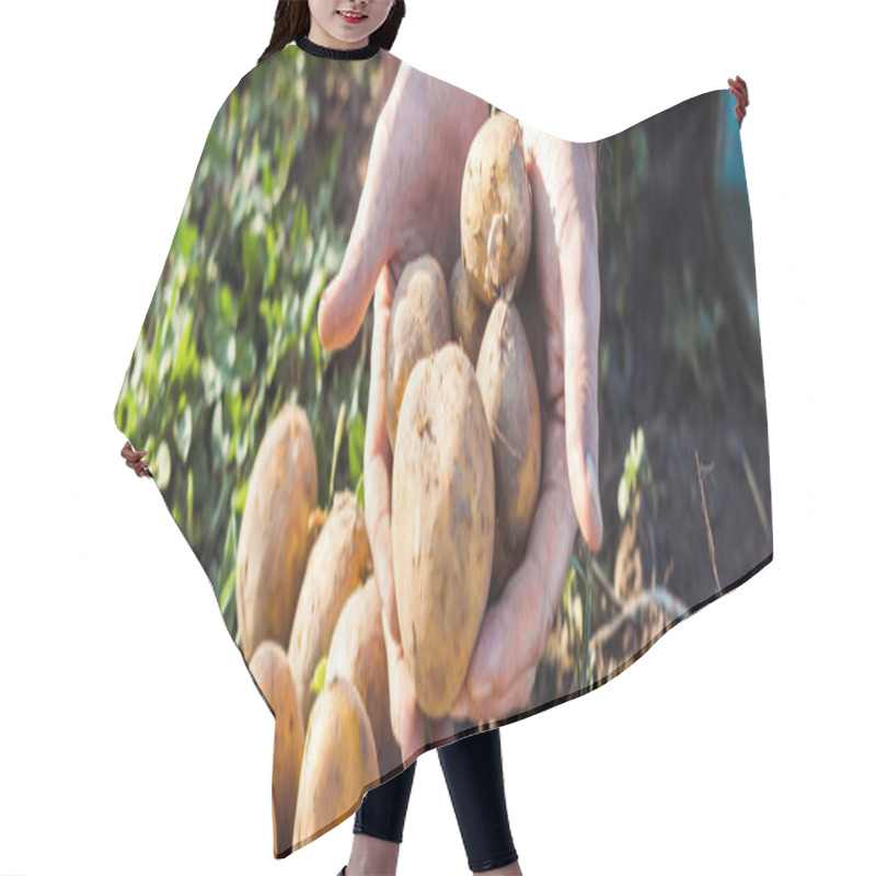 Personality  Panoramic Shot Self-employed Farmer Holding Potatoes  Hair Cutting Cape