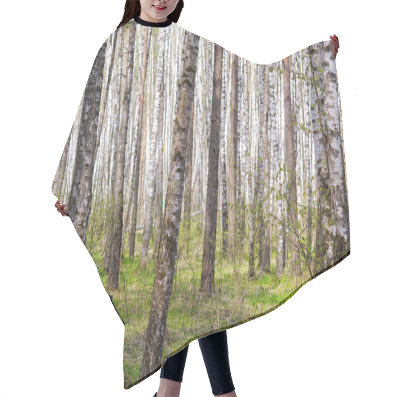 Personality  Grove Of Birch Trees In Early Spring Hair Cutting Cape