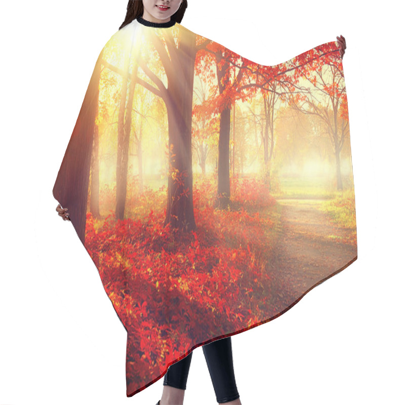 Personality  Autumnal Park In Sunlight Hair Cutting Cape