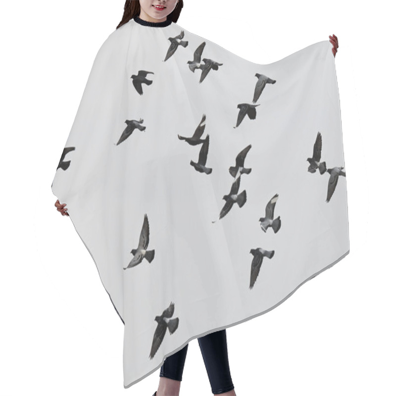 Personality  Flying Pigeons Hair Cutting Cape