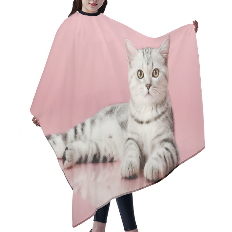 Personality  Kitten Hair Cutting Cape