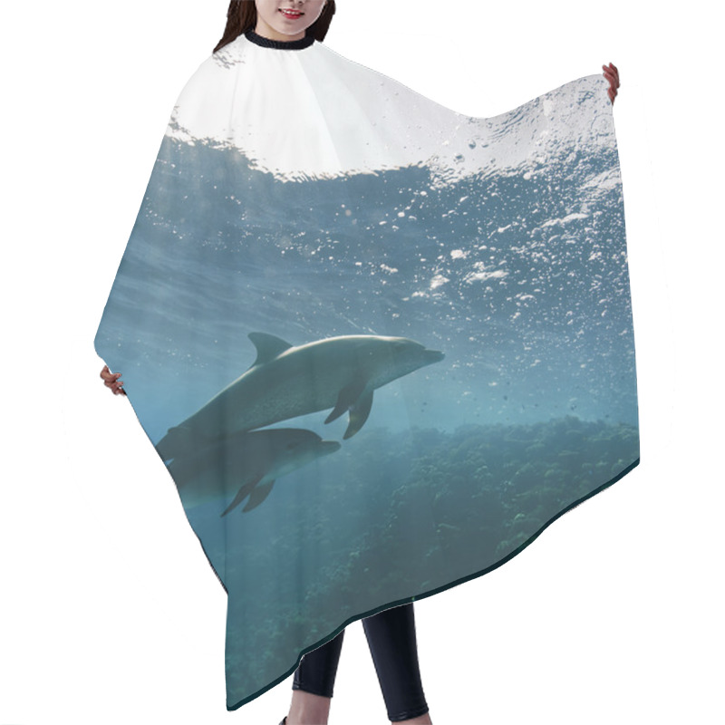 Personality  Dolphins Underwater Hair Cutting Cape